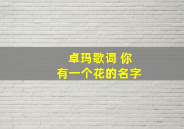 卓玛歌词 你有一个花的名字